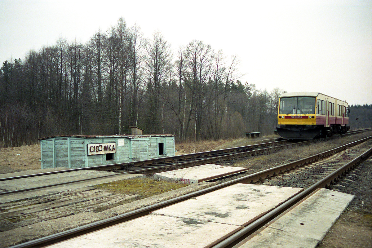Cisówka