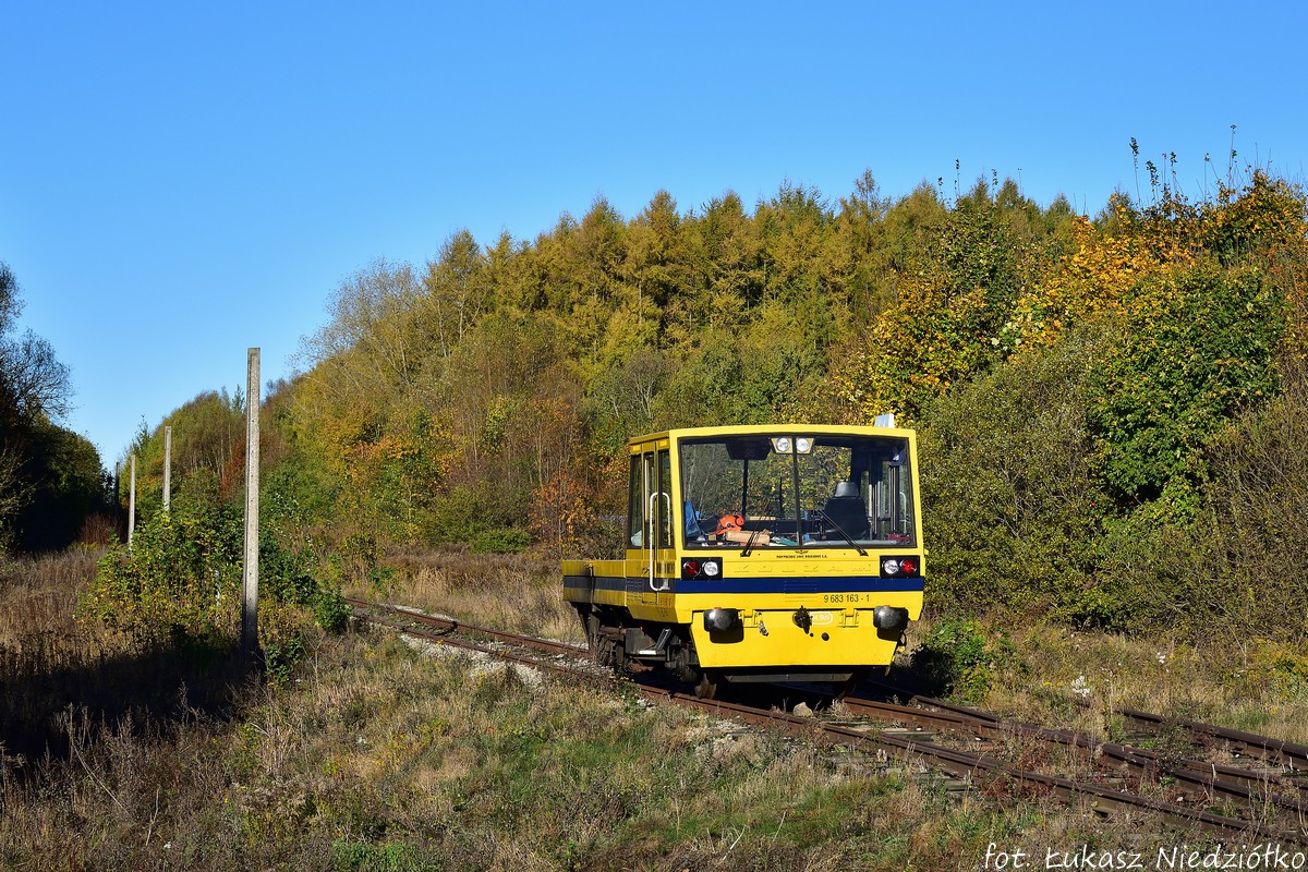 Połczyński ogryzek