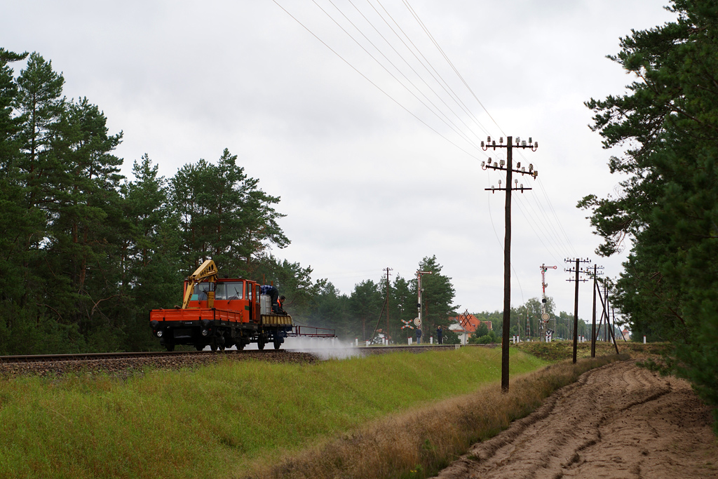 Profilaktyka w wydaniu IZ Gdynia