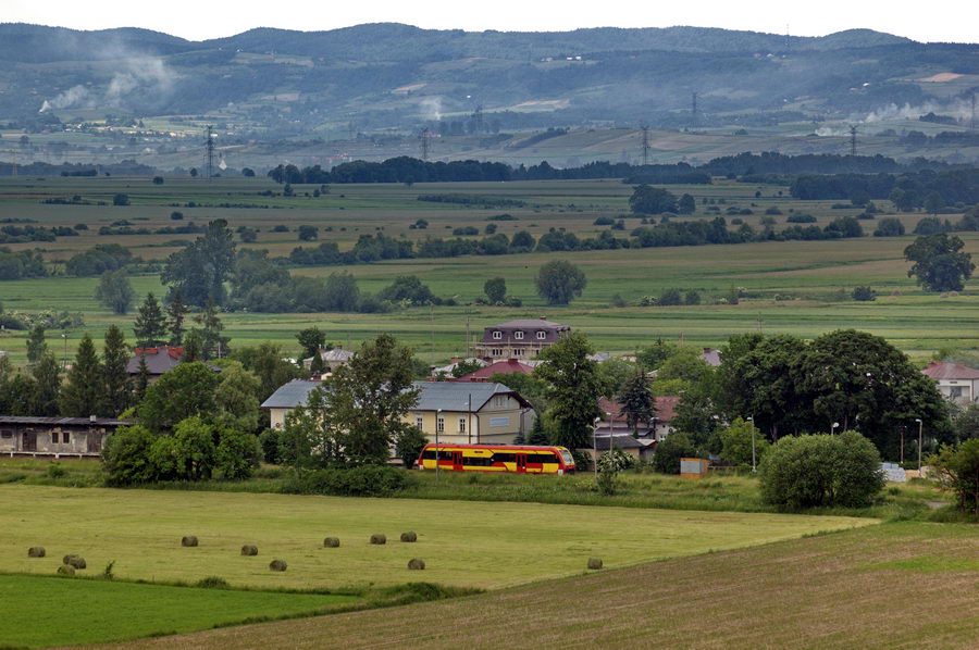 SA103-002 Wróblik Szlachecki
