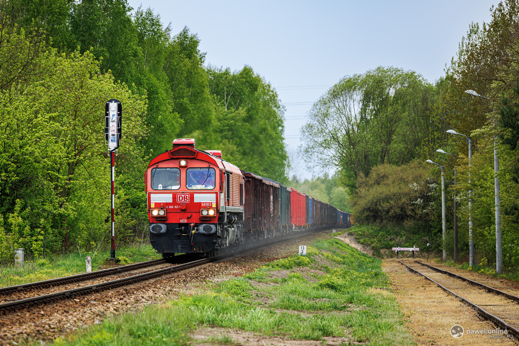 66163