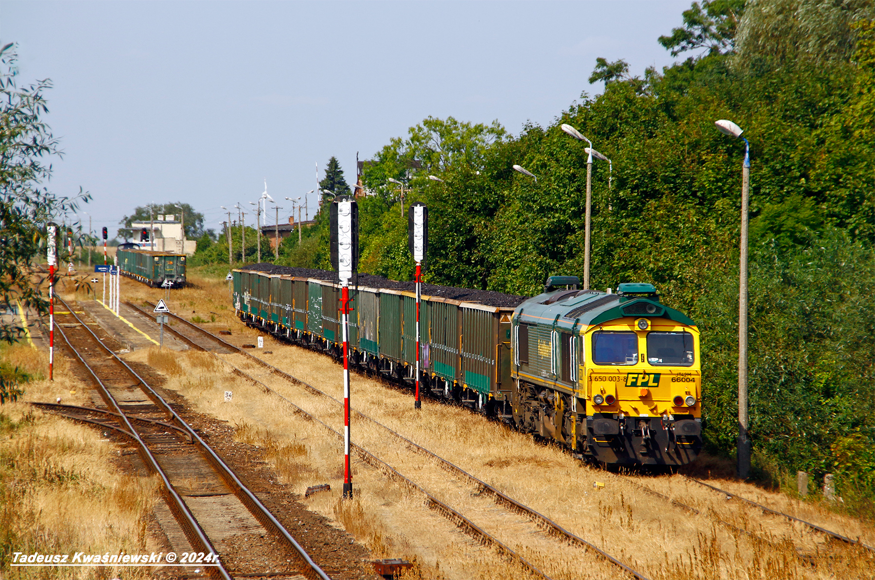 66004
