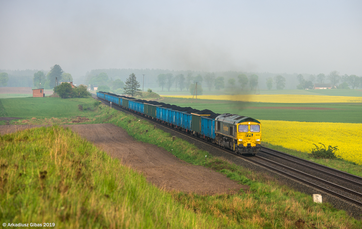 66016