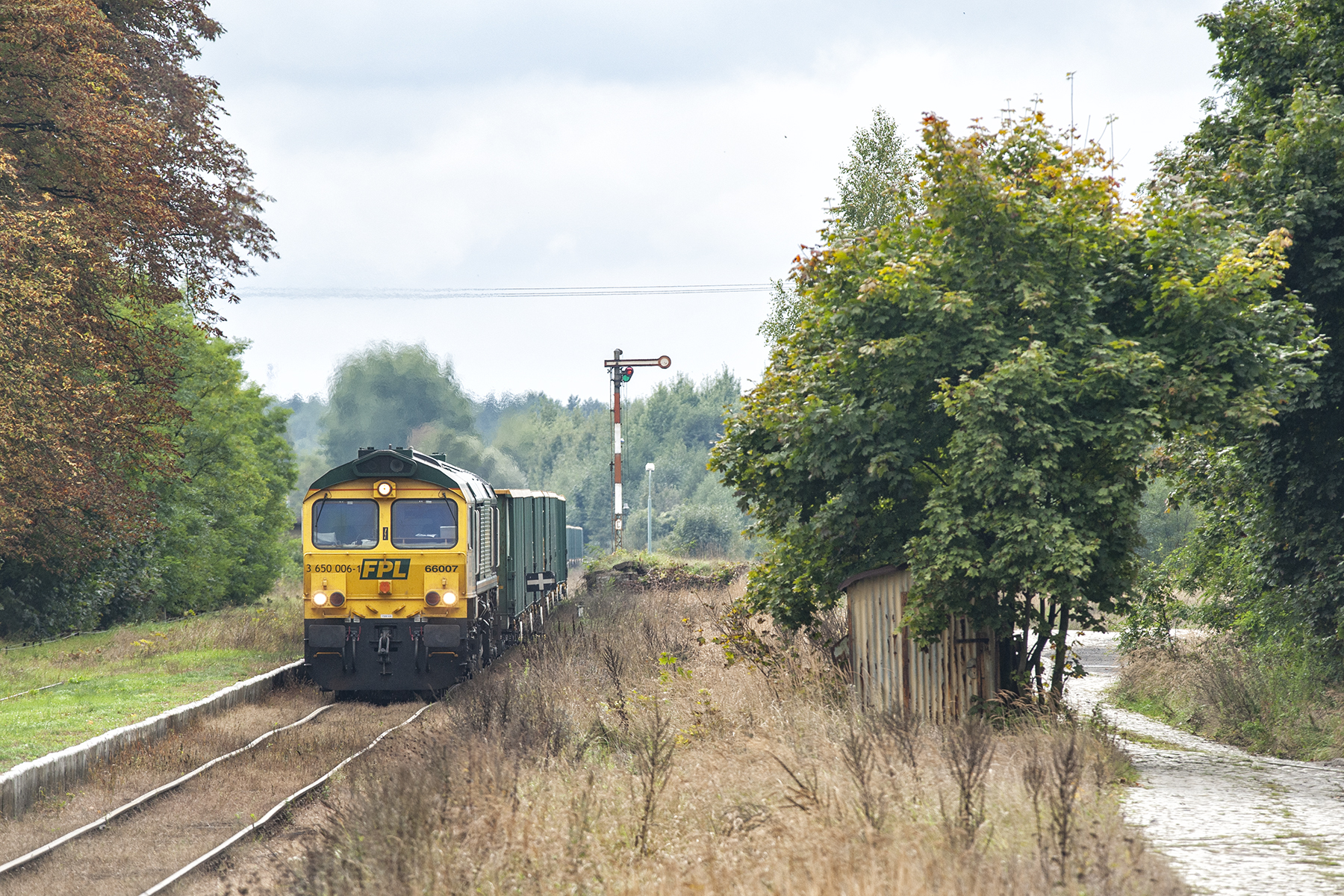 66007