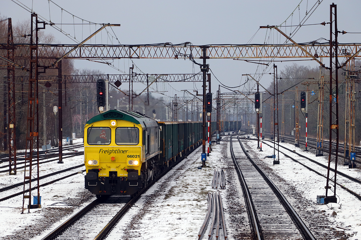 66021