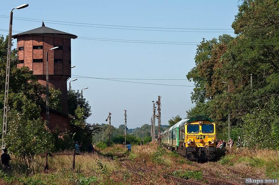 66001