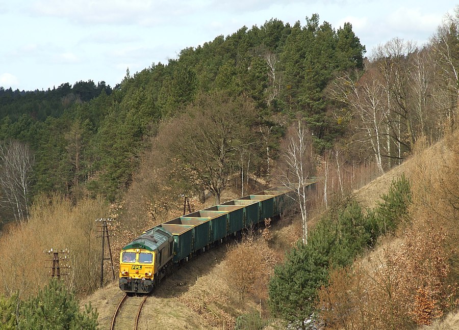 66001