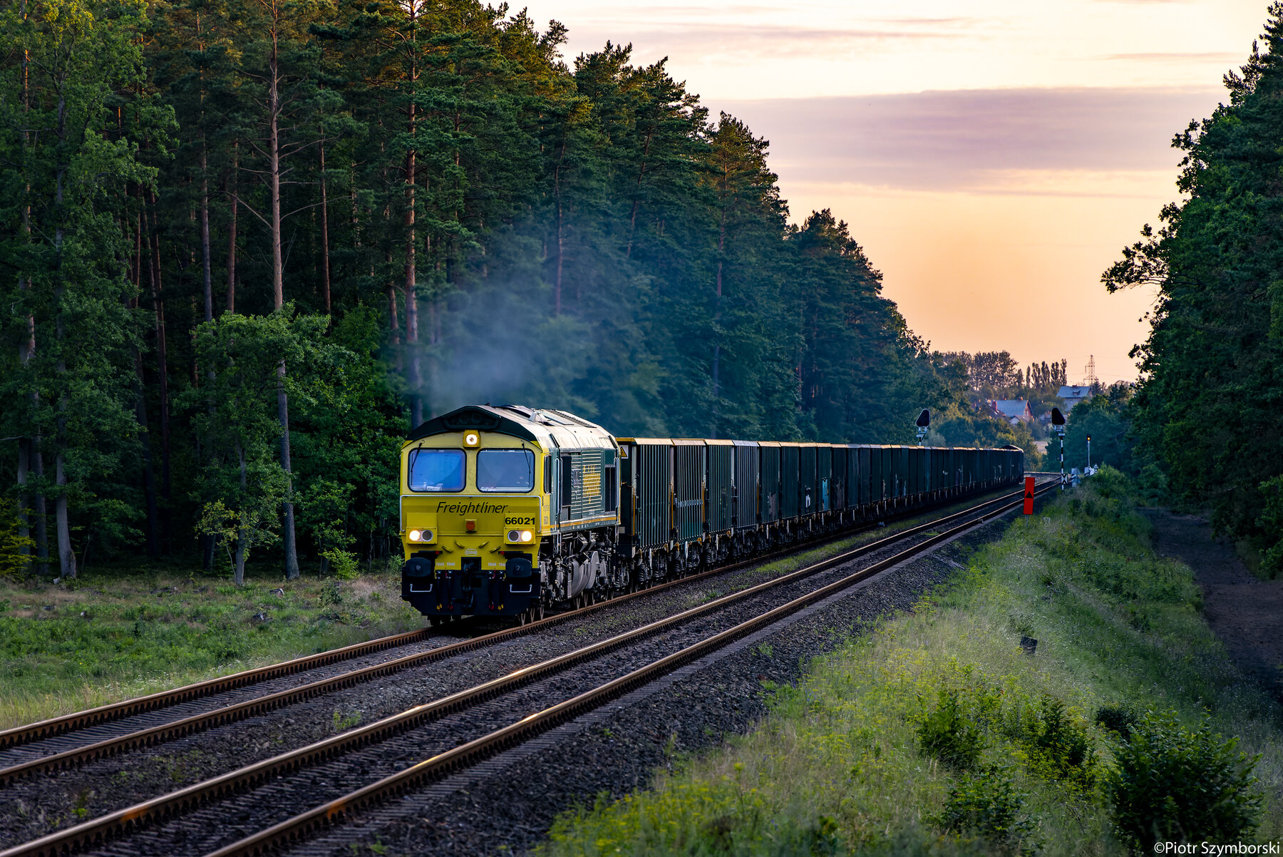 66021
