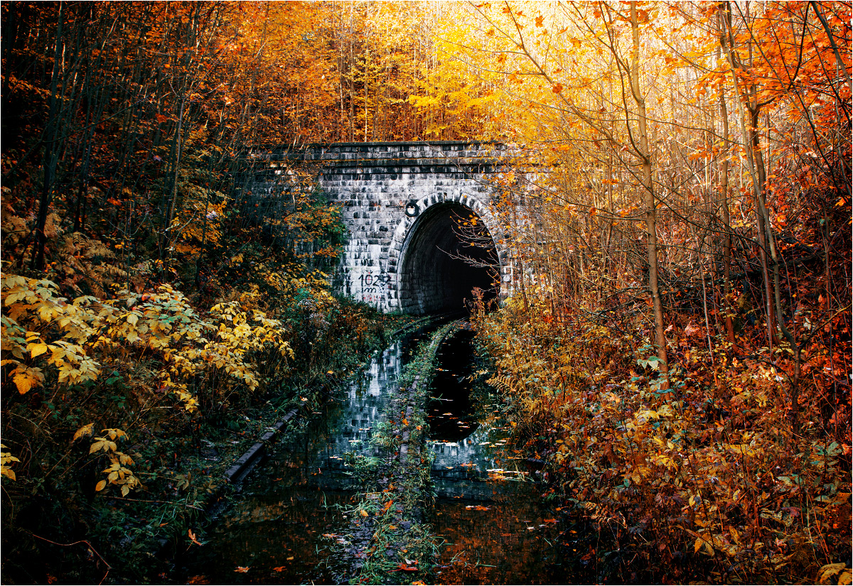 Baśniowy portal w Ogorzelcu