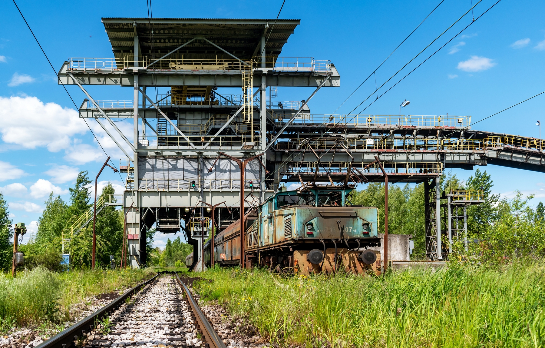 Krokodyl pod załadunkiem.