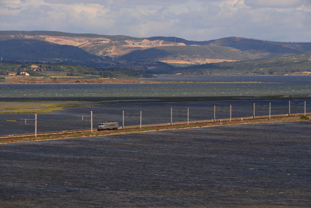Luzak nad zalewami