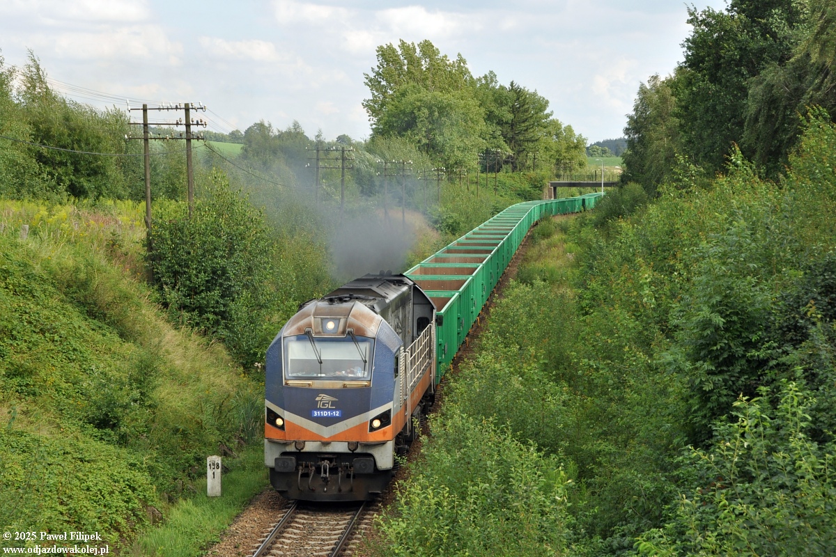 311D1-12