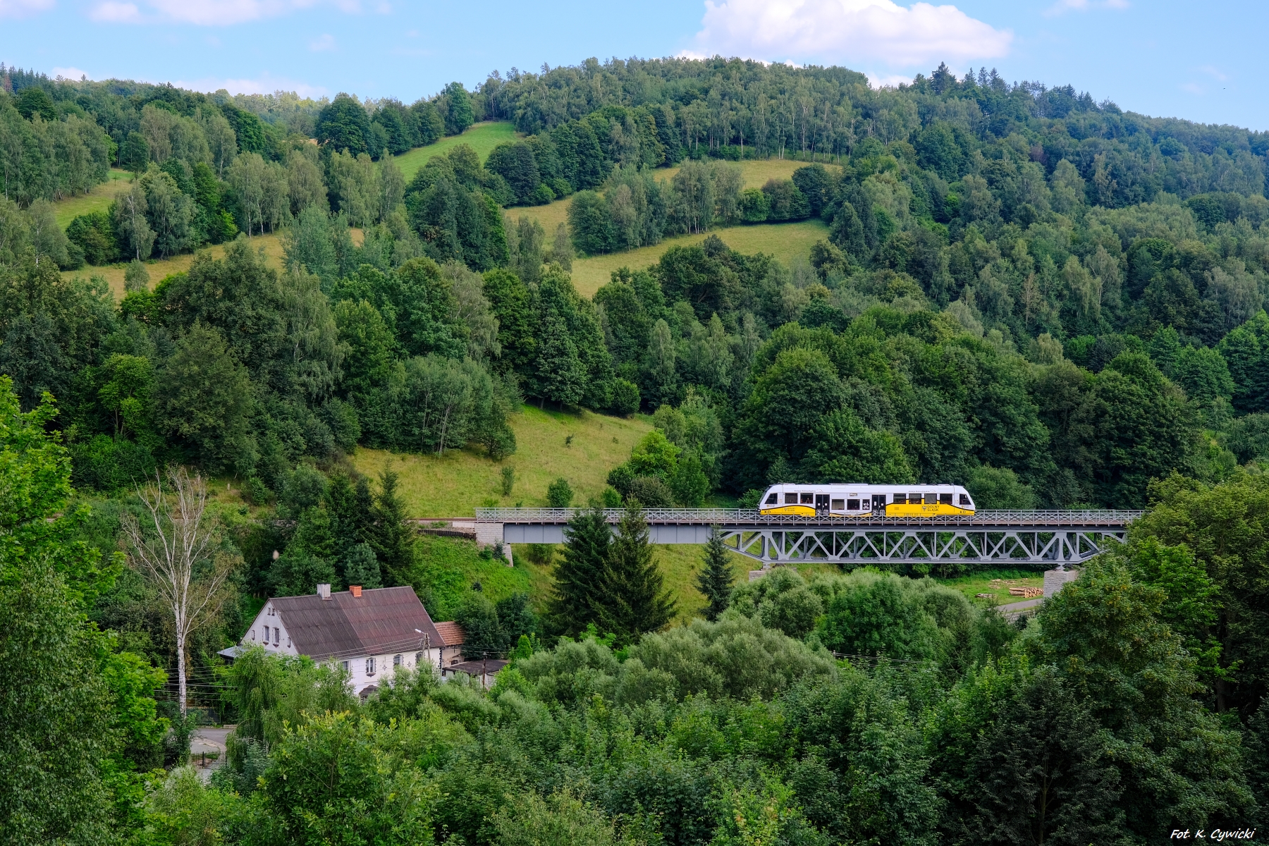 W krainie zieloności