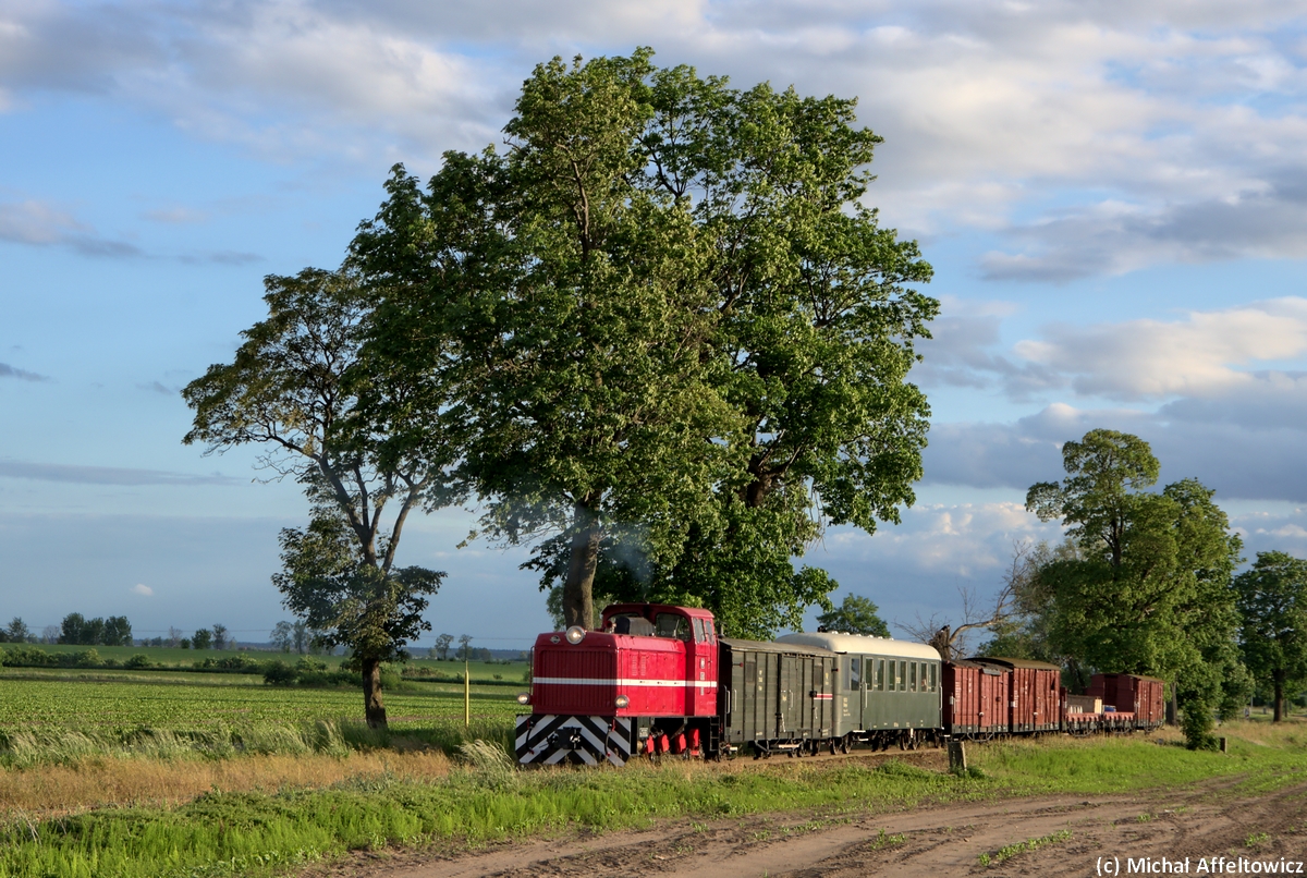 Popołudnie z Donaldem