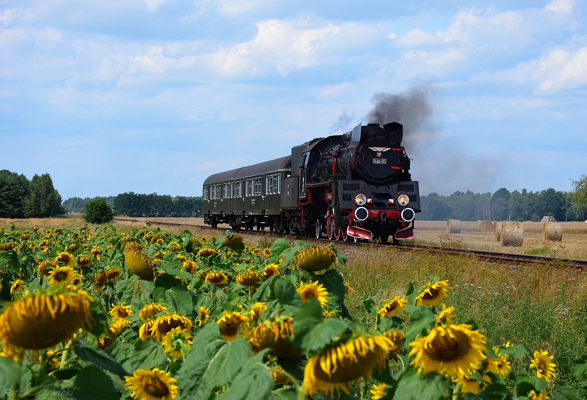 Czas żniw i słoneczników