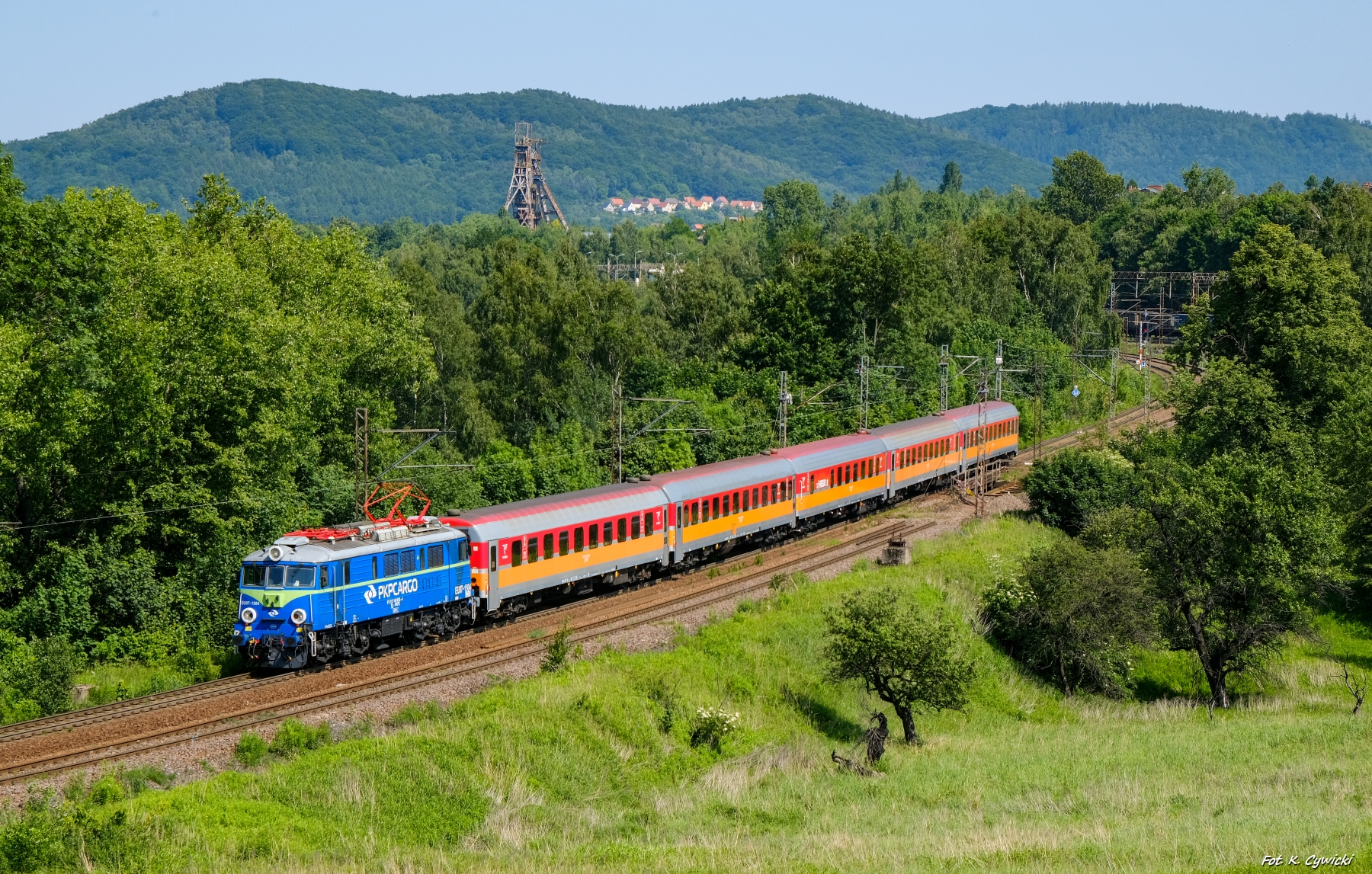 Kolorowy Kamieńczyk