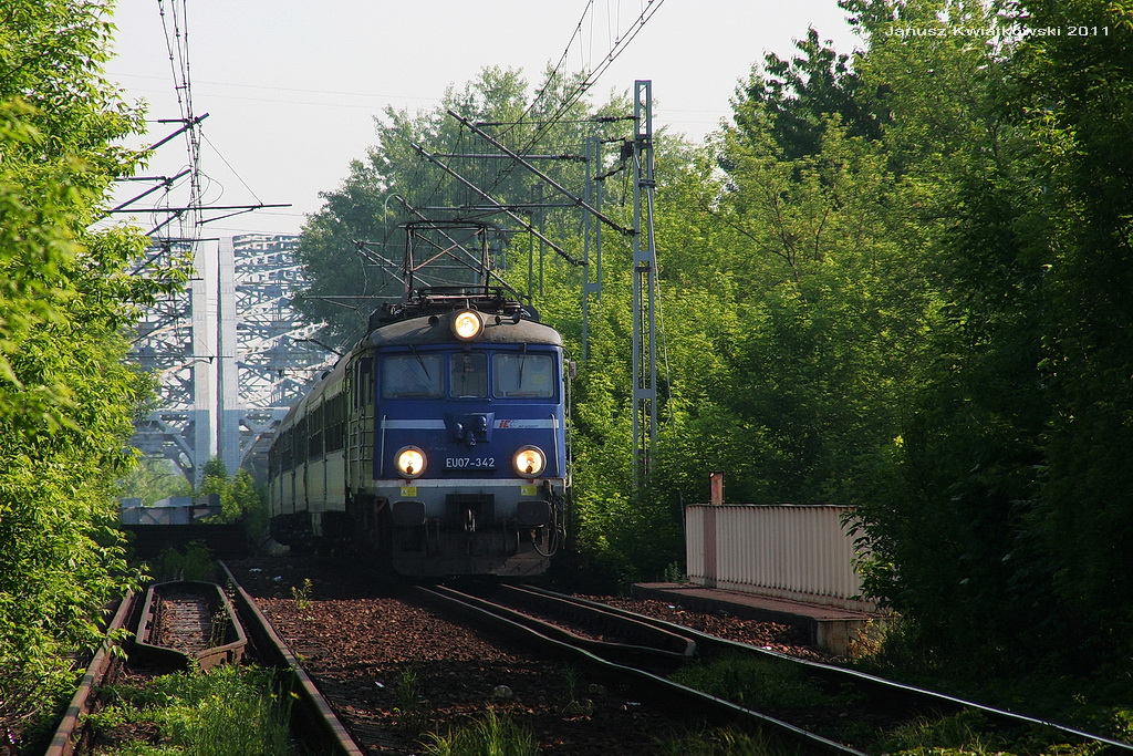 Kraków...a taka dżungla.