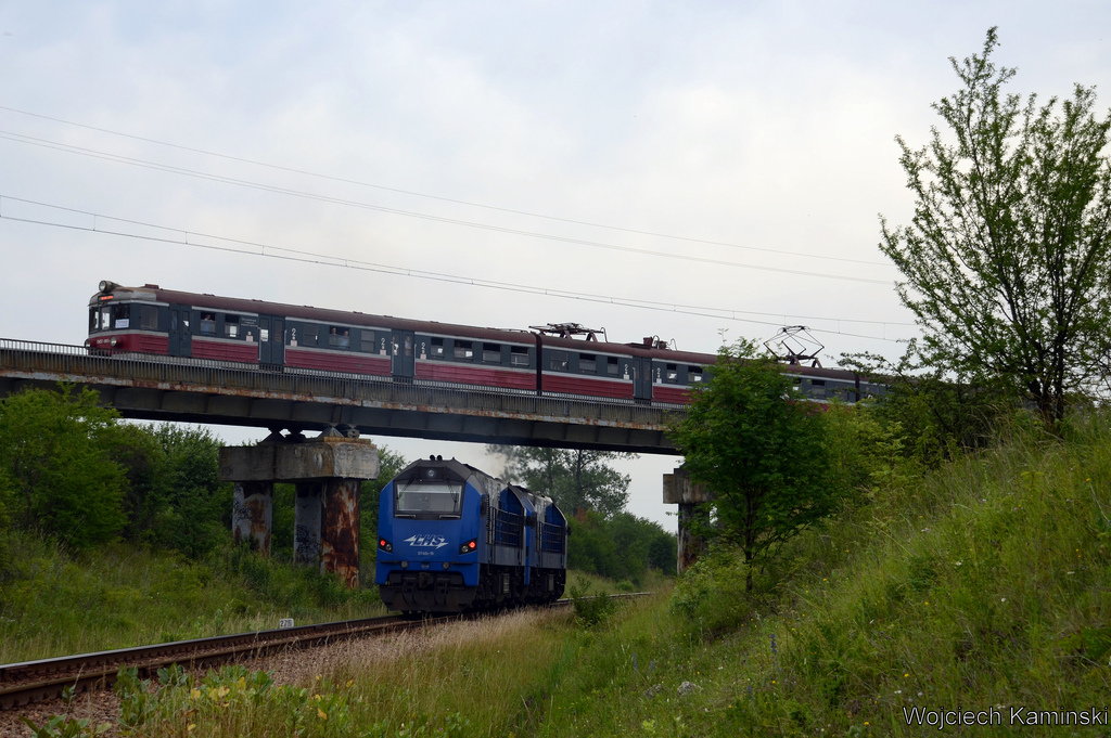 Niecodzienne spotkanie