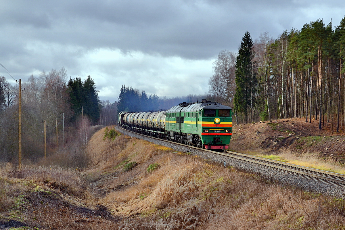 2ТЭ116-667