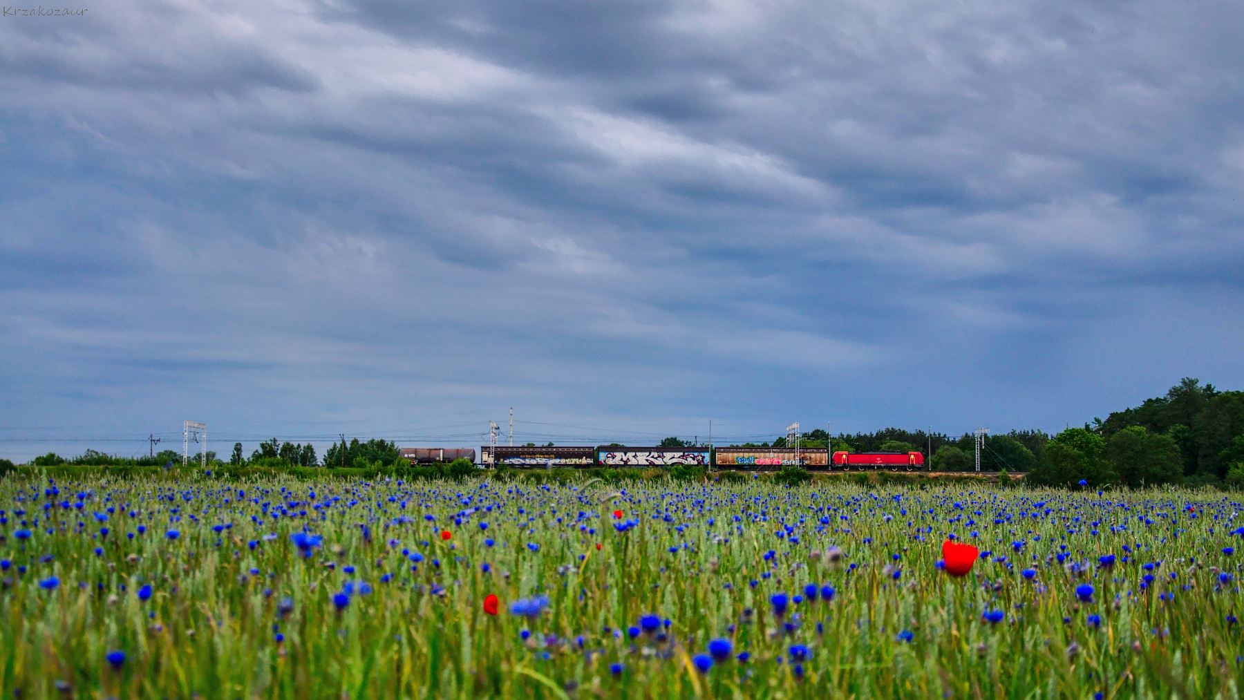 Nawet dziecko już wie...