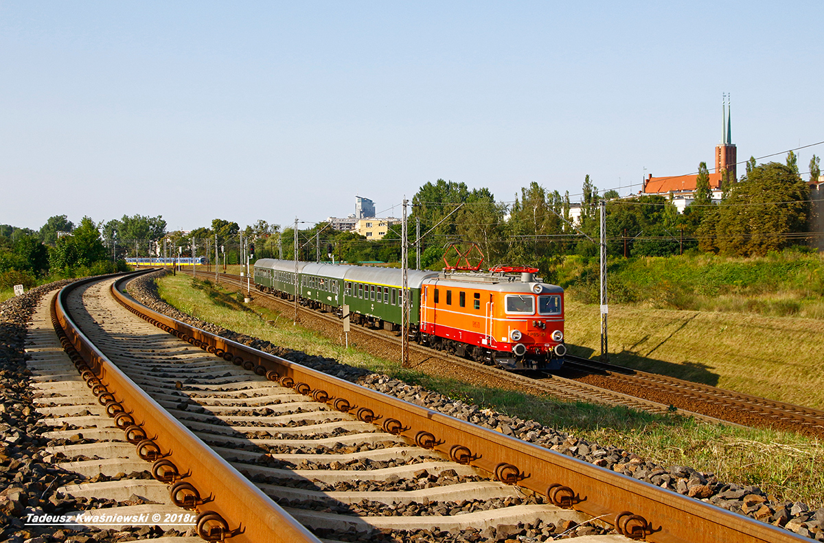 Niespodziewany gość