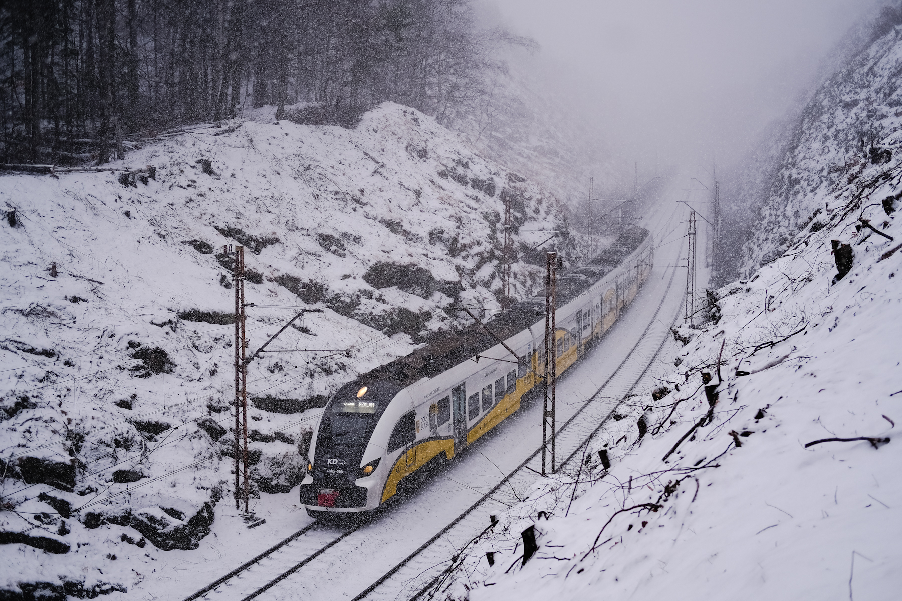 W śnieżnej zamieci