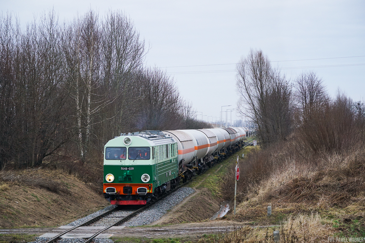 SU46-029 - Kotki