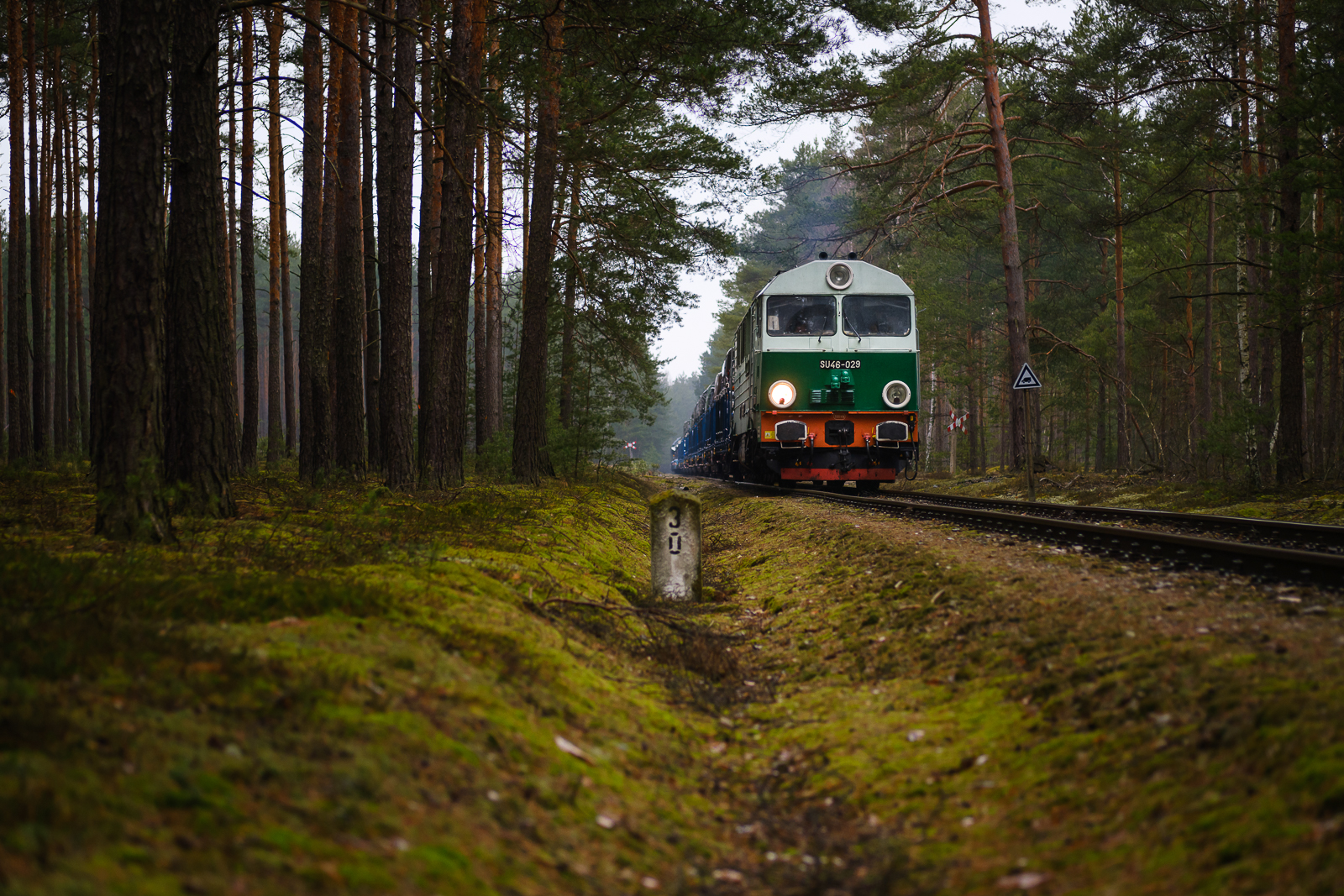 Operacja »Zieleń mchu«