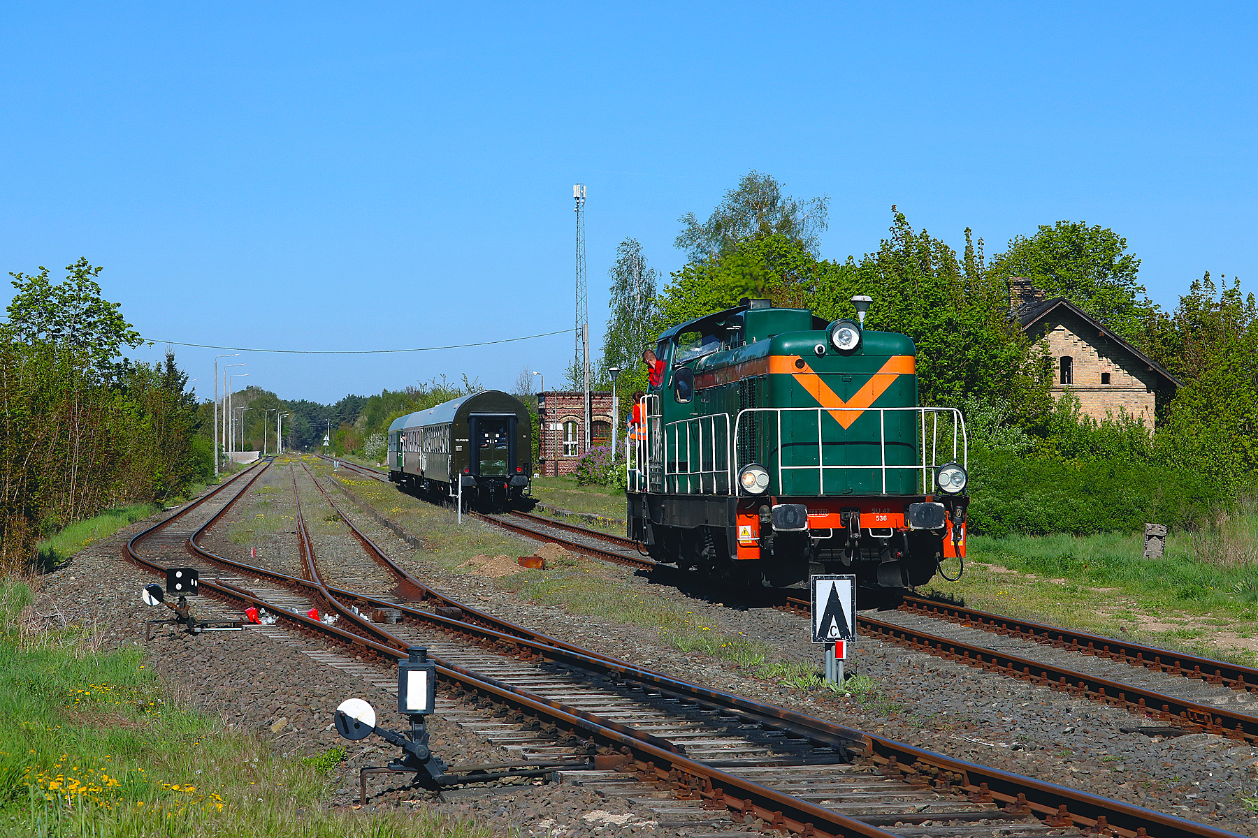 Turkol w Trzemesznie