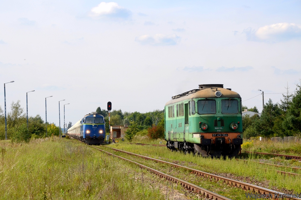 Krzyżowanie w Bliżynie