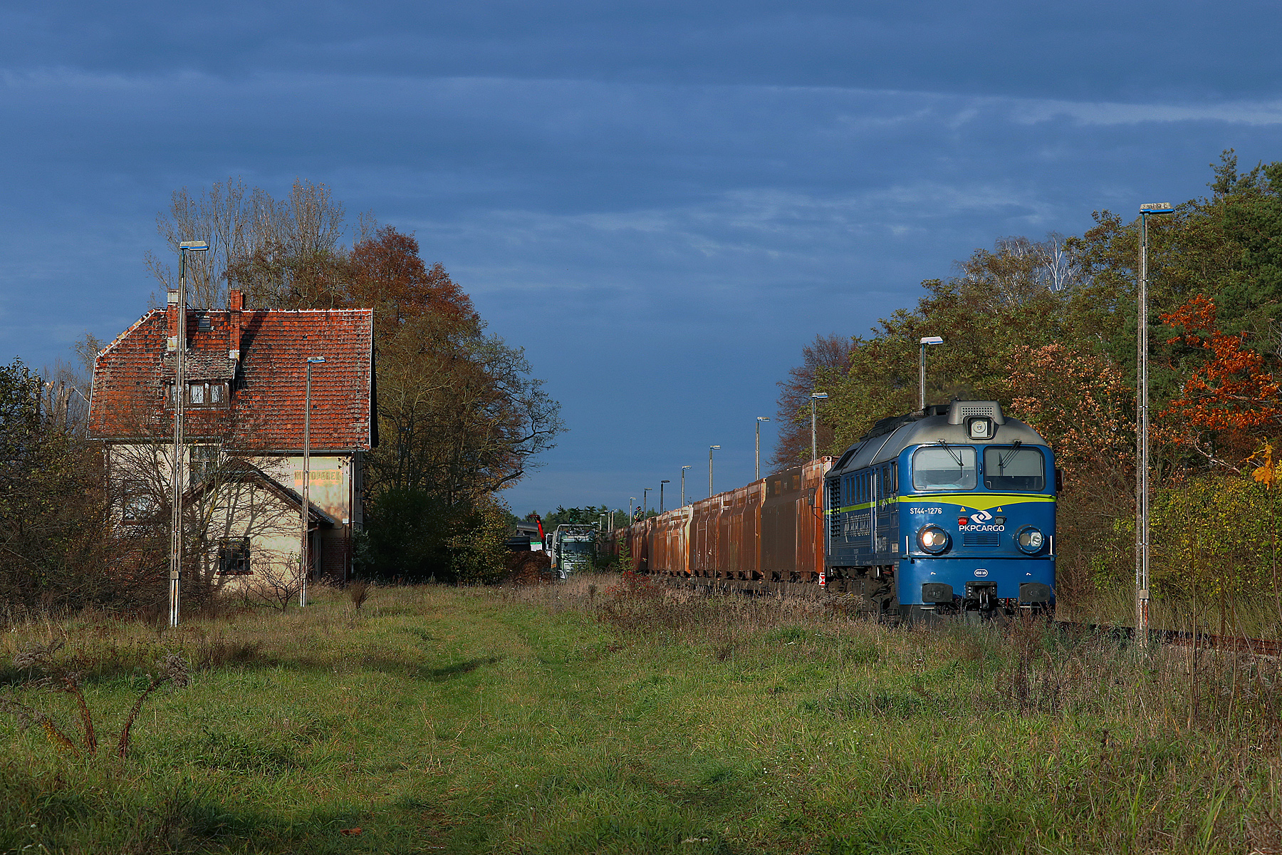 Zrębki w Nietoperku #1