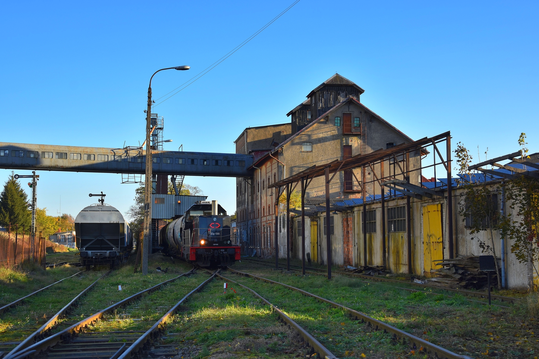 Olavion w Pieniężnie