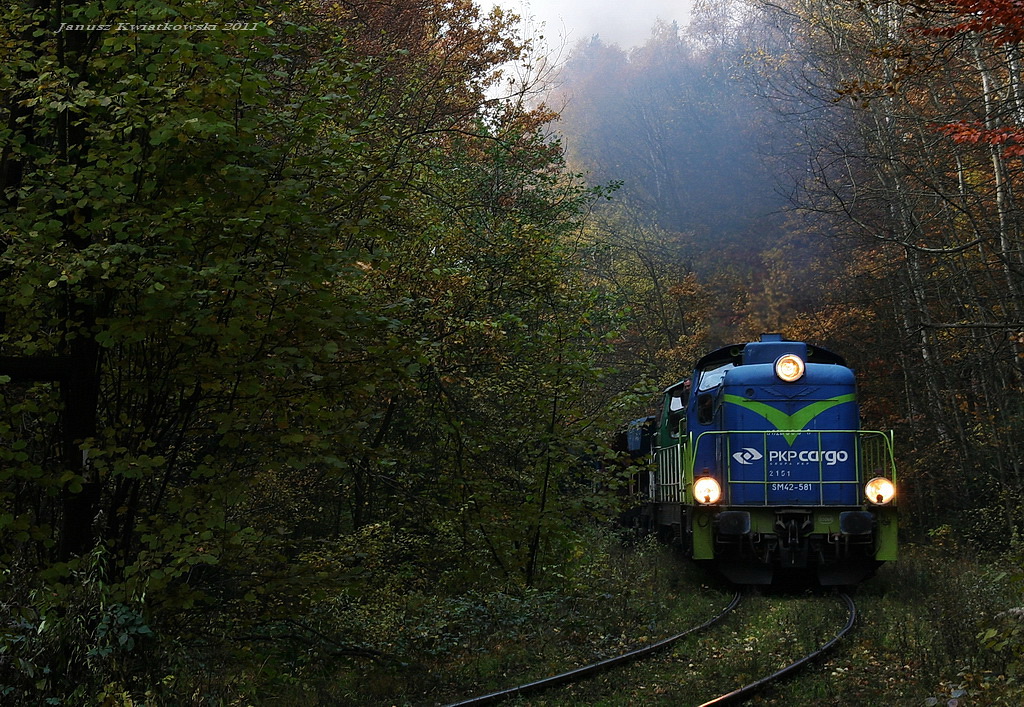 Wśród leśnej głuszy głos się rozlega.