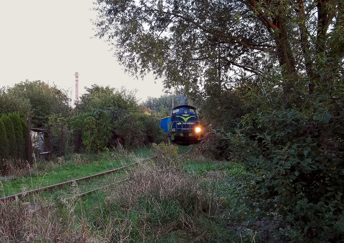 Stonką przy działkach