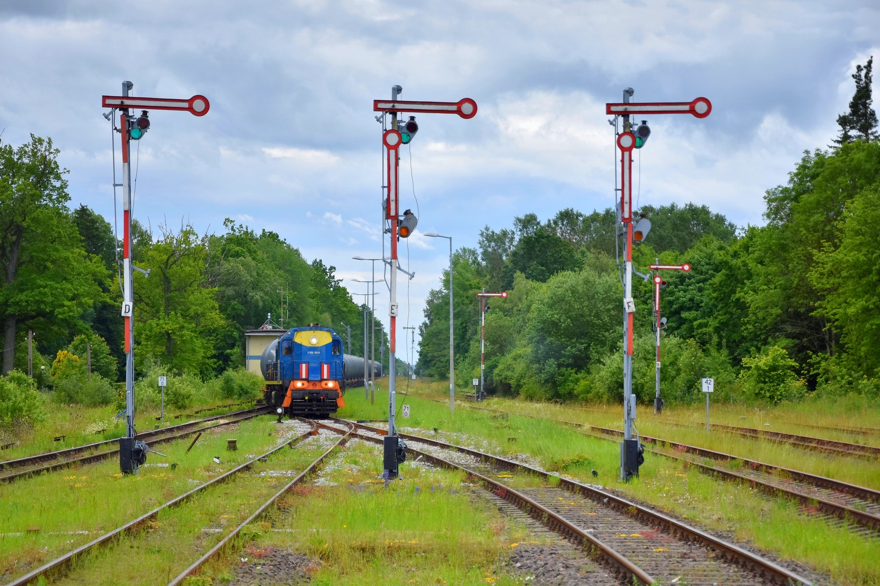 TEM2-234 w Chruścielu