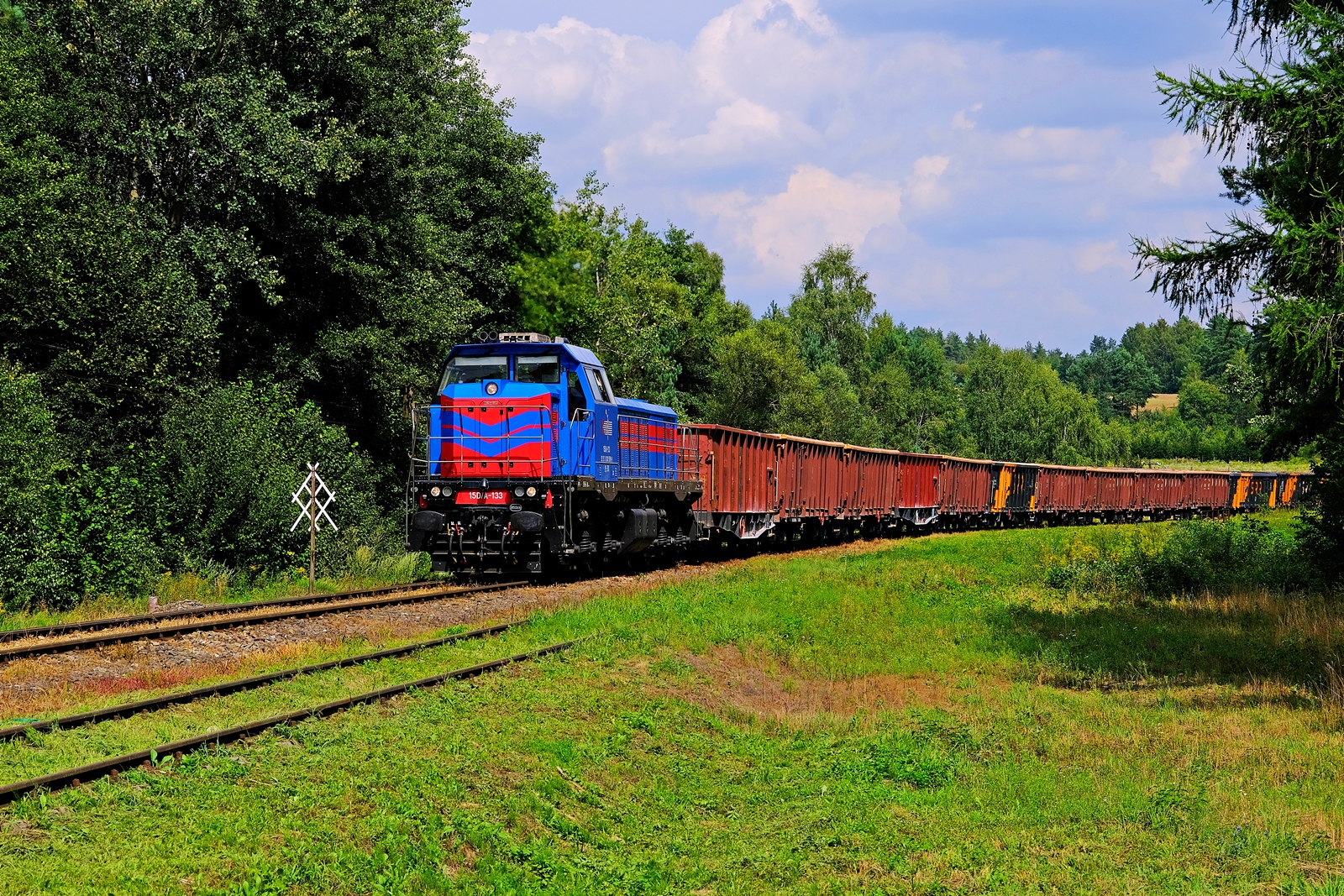 15D\A-133 w Dziewięcierzu.