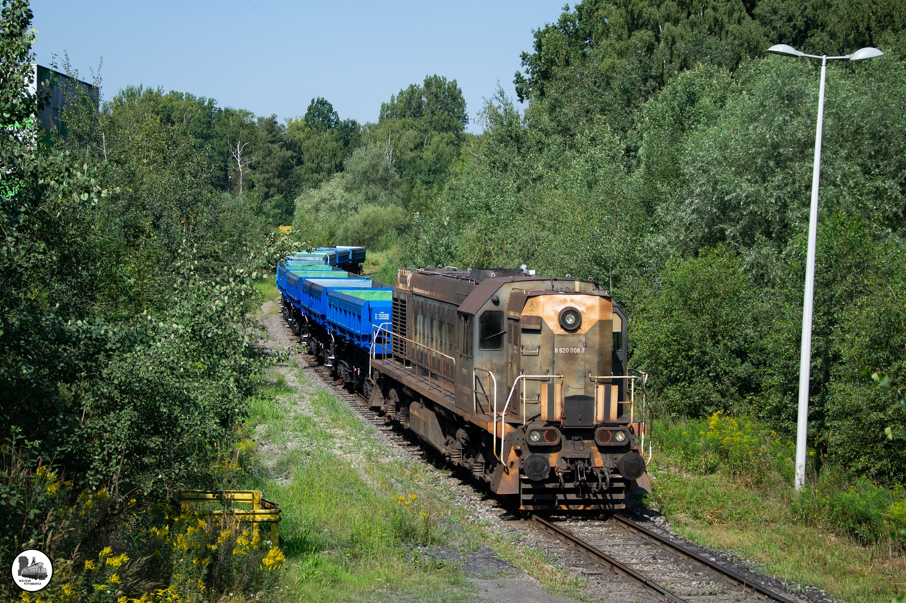 Jastrzębski strup
