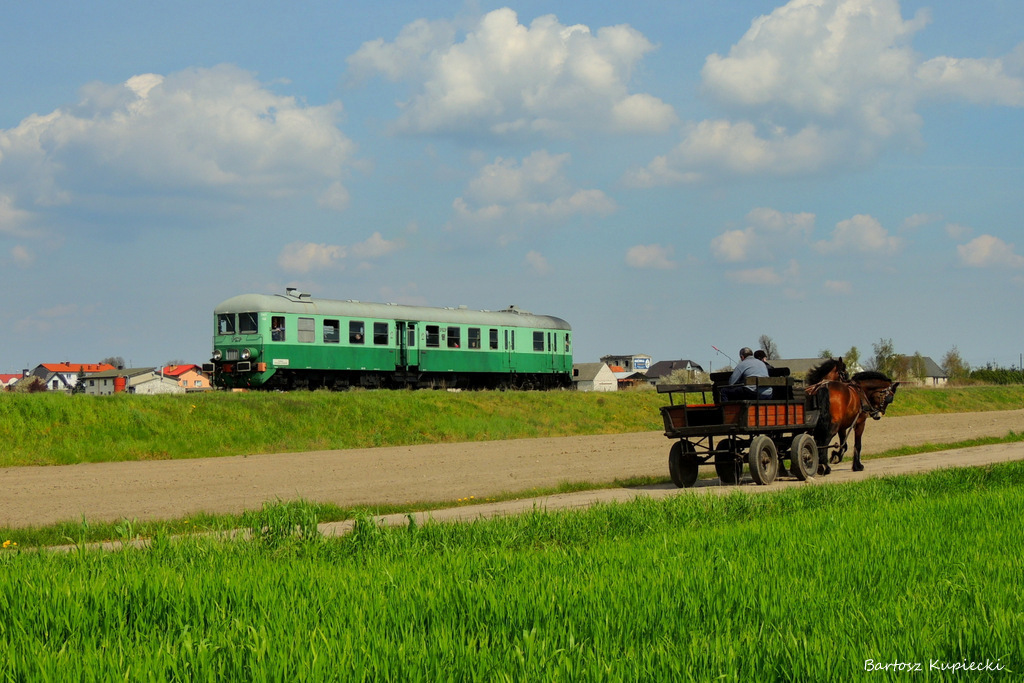 Konie pociągowe
