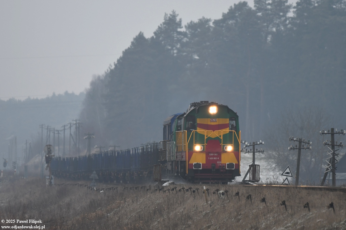 Zielony duet.