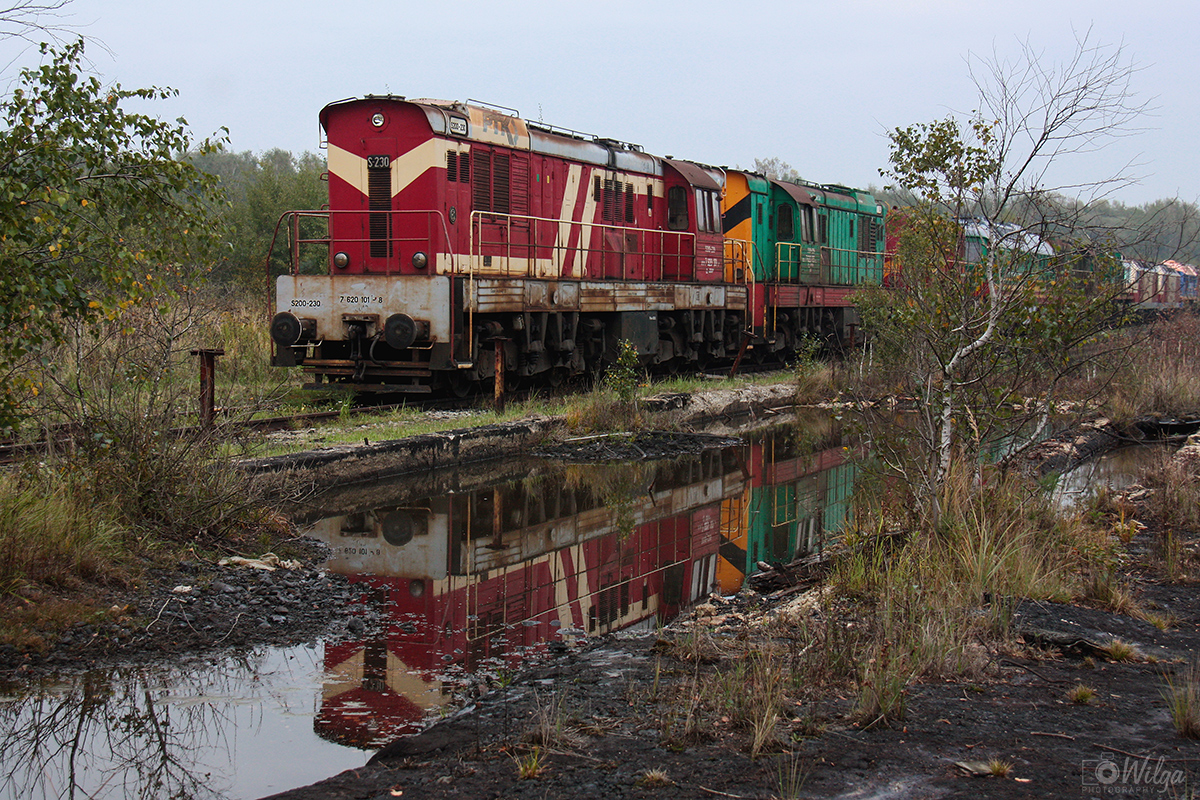 S230