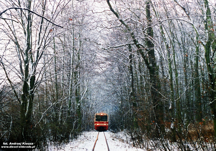 Zima na Śmigielskiej Kolei Dojazdowej