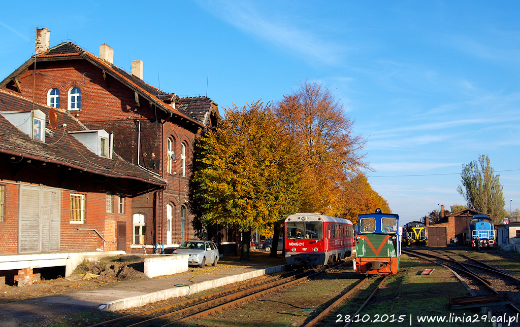 Złota jesień w Pleszewie