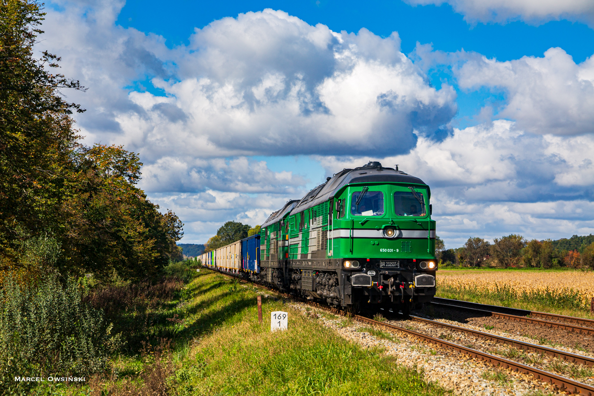 Ładowny Nasielsk