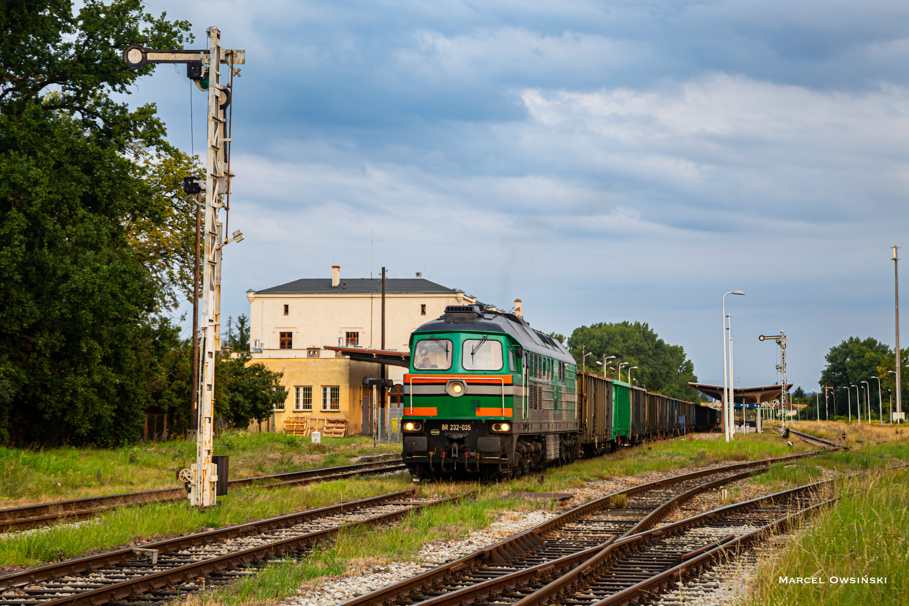 Skinest w Dzierżoniowie