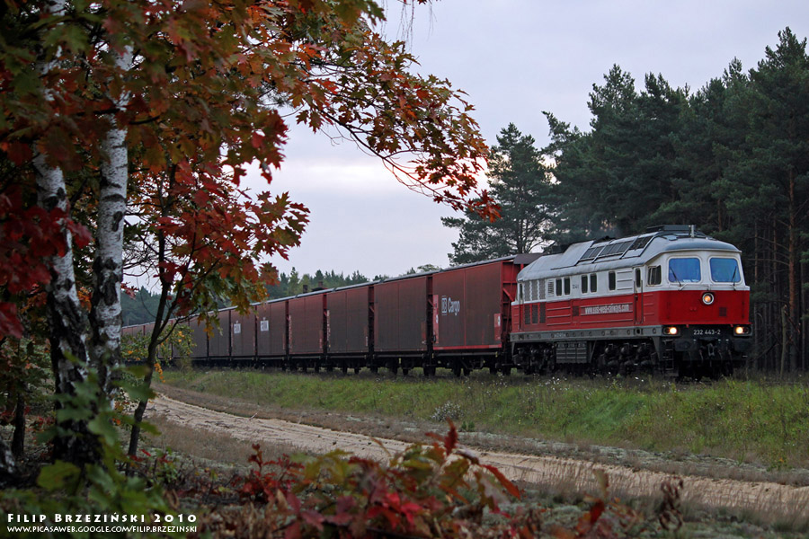 232 443-2