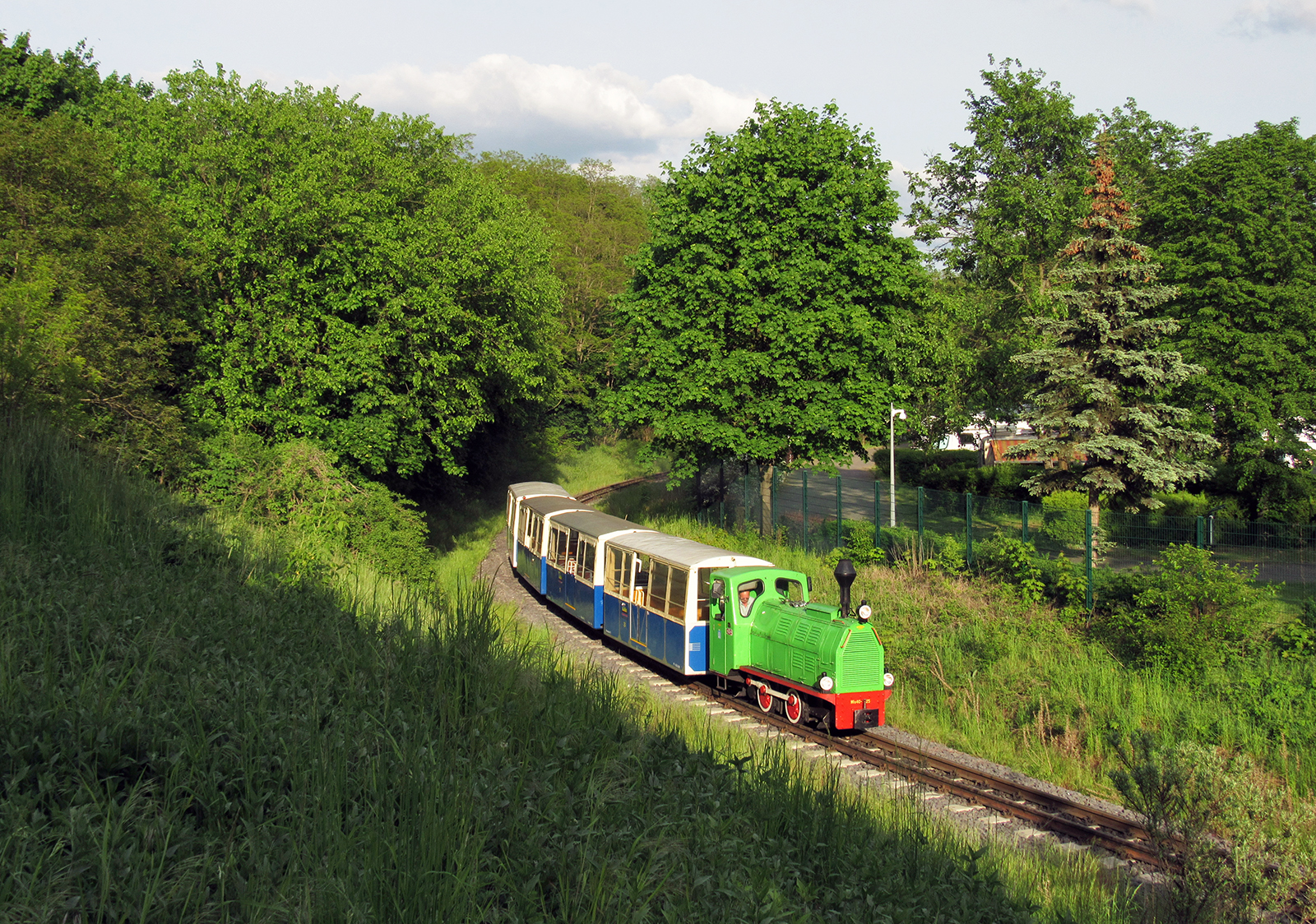 Na skraju miejskiego lasu