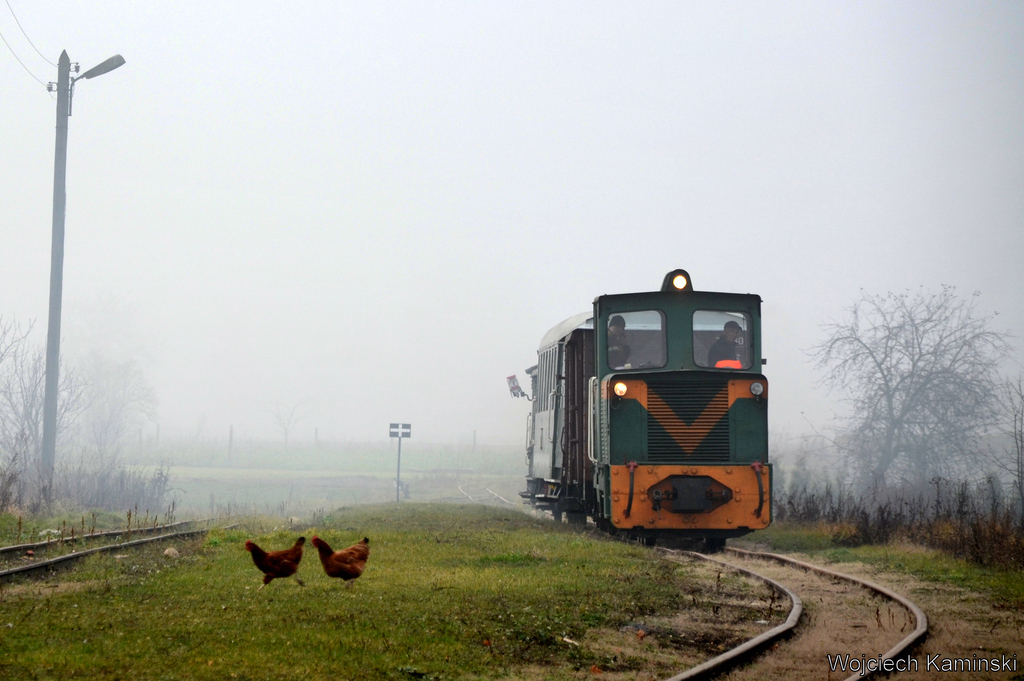 Lyd1-215 i uciekające kury