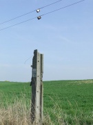 Chłopu się przydało...