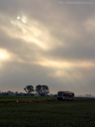 Niedzielna apokalipsa