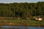 Tandem w Wieżycy